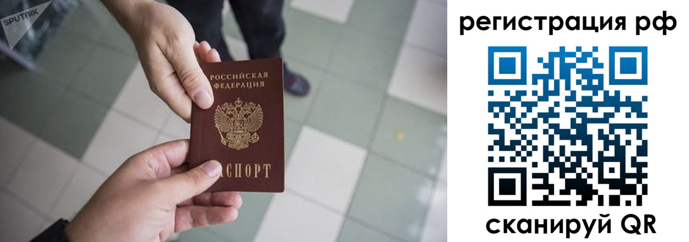 прописка гарантия в Донском